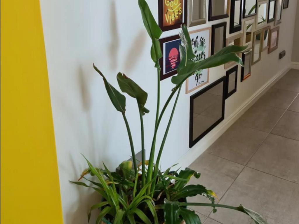 梅森堡 The Little Big Green House酒店 客房 照片